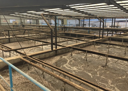 山東某皮革企業(yè)污水處理廠